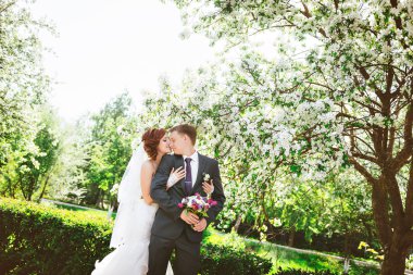 Çiçek açması dalları altında sevgi dolu kaç gün bahar. Genç Yetişkin esmer erkek ve kadın taze çiçeği elma veya kiraz ağaçları bahçede öpüşme. tatlı öpücük.