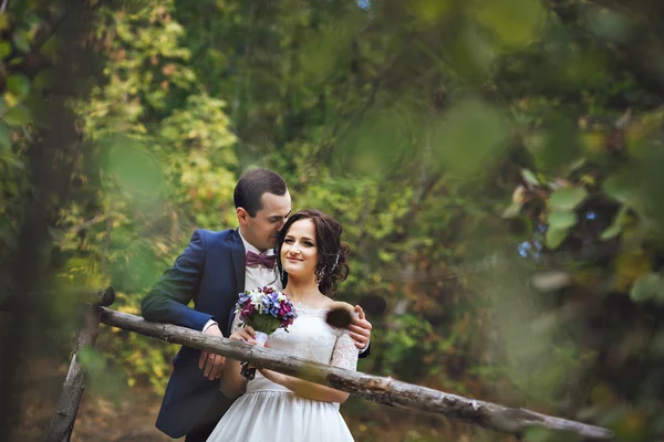Bonito par de amantes recém-casados abraçando nas madeira.Mãos segurando um buquê de lilás branco lilás. Foto através das folhas das árvores. Ele beija-a . — Fotografia de Stock