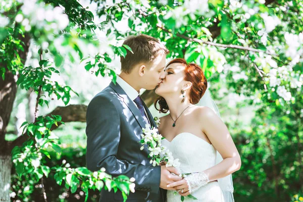 Feliz joven marido y mujer, en colores, abrazándose. Día de la boda. Amantes del beso . —  Fotos de Stock