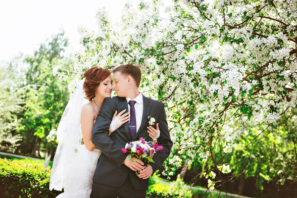 Pareja cariñosa bajo ramas florecientes día de primavera. Joven morena adulta hombre y mujer besándose en flor fresca jardín de manzanos o cerezos. dulce beso . —  Fotos de Stock