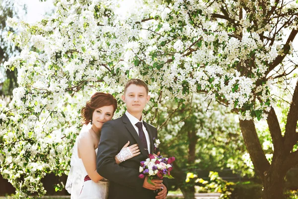 Casal natureza, feliz no fundo flores brancas. Flor de maçã — Fotografia de Stock