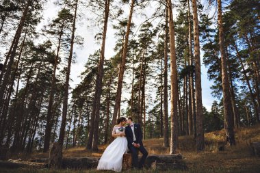 Çift genç aşıklar ve insanlar gülüyor parkta. Birbirlerine öpücük.