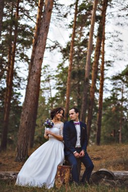 Çam ormanı, birbirine bakarak çift. Sevgi ve mutlu karı koca.