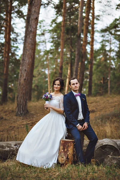 Kameraya bakarak iki çam ormanı sonra. İnsanları mutlu karı seviyorum.