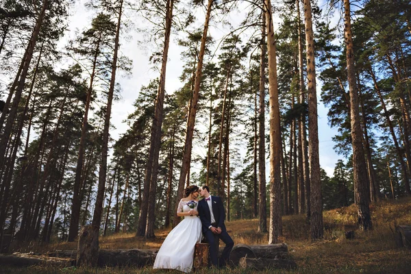 Pár fiatal szerelmeseinek és a személyek, a Park, nevetve. Megcsókolják egymást. — Stock Fotó