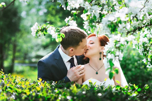 Portret van jonge gelukkig verliefde paar in het groen op de achtergrond witte bloemen. Mooie zonnige lente weer. — Stockfoto