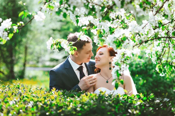 Portret van jonge gelukkig verliefde paar in het groen op de achtergrond witte bloemen. Mooie zonnige lente weer. — Stockfoto