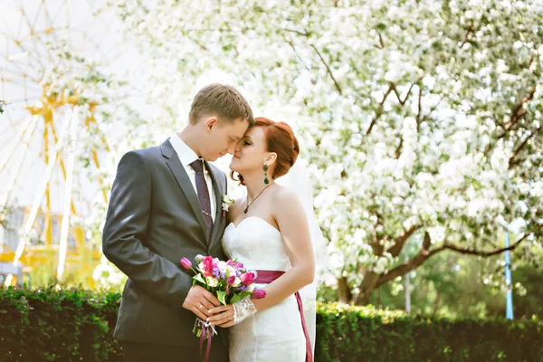 Casal natureza, feliz no fundo flores brancas. Flor de maçã — Fotografia de Stock