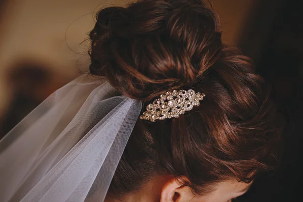 白いベールの花嫁の暗い髪の銀製の宝石類 — ストック写真