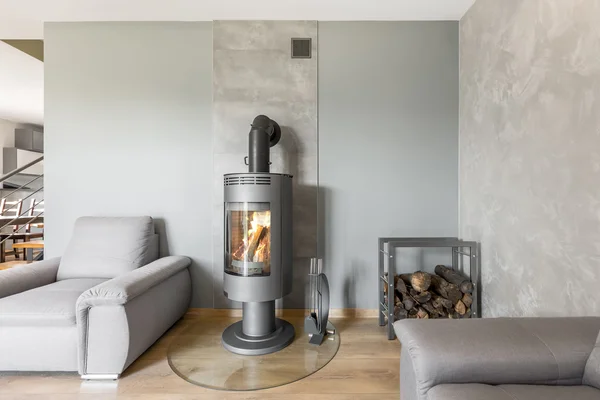Nouveau style salon avec une idée de cheminée — Photo