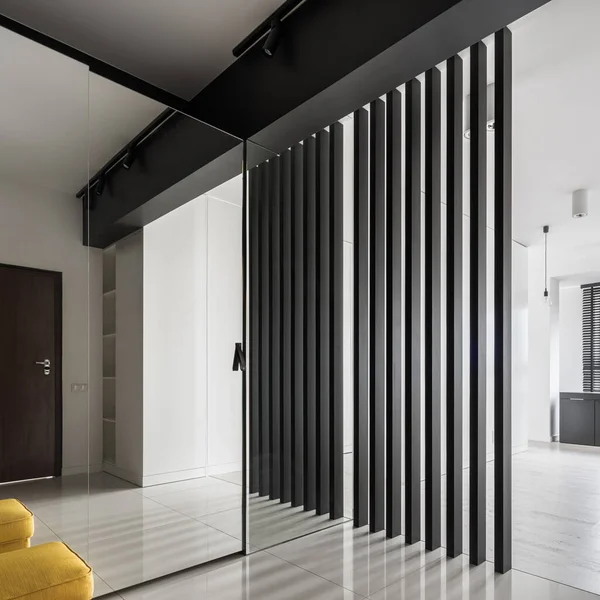 Elegant Och Elegant Korridor Med Spegel Garderobsdörren Och Designad Vägg — Stockfoto
