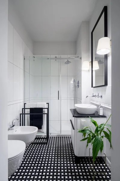 优雅的黑白浴室 有时髦的地板 黑色的大镜子和玻璃墙后面的淋浴 — 图库照片