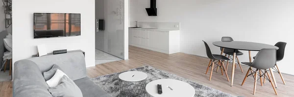 Panorama Elegante Apartamento Branco Cinza Com Cozinha Sala Estar Área — Fotografia de Stock