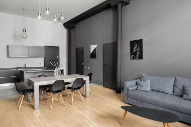 Beyaz ve gri duvarları, ahşap zemini ve gri mobilyaları olan yeni tasarlanmış daire