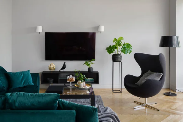 Helles Wohnzimmer Mit Großem Fernseher Und Stilvoller Dekoration — Stockfoto