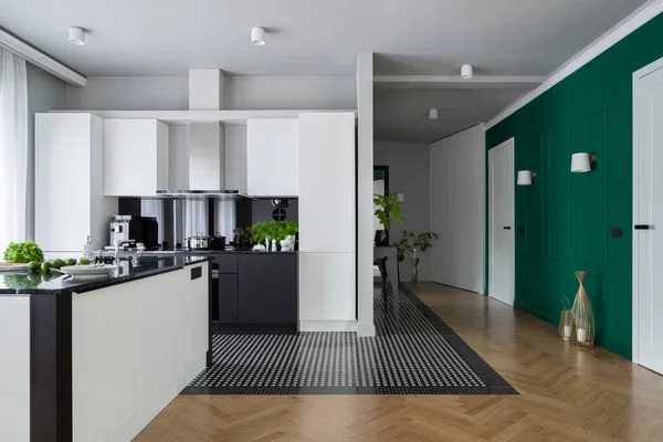 Spacious apartment with black and white kitchen open to corridor with stylish green wall