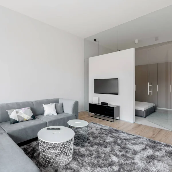 Comfortable, gray corner sofa with two coffee tables and modern carpet in bright living room with television screen and bedroom behind decorative glass wall