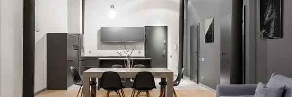 Panorama Einer Kleinen Offenen Loft Wohnung Mit Stilvoller Küche Und — Stockfoto