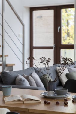 Ahşap masaya yakın plan süslemeler, kupalar, kestaneler, vazolar, ve büyük pencereli oturma odasında açık kitap