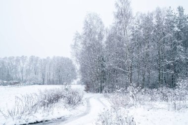 Beyaz ve soğuk kış kırsalda, karla kaplı çayırlar ve ağaçlarla