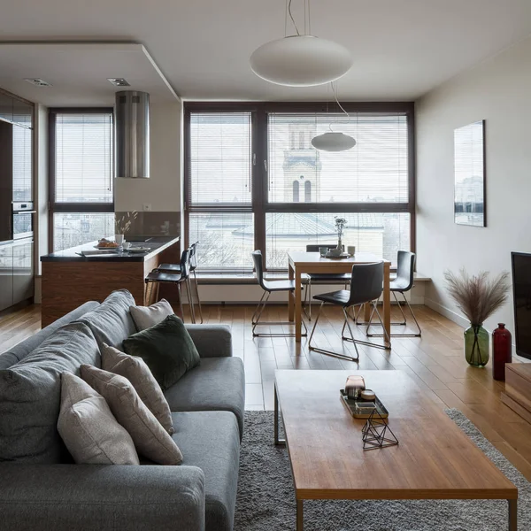 Moderno Apartamento Aberto Estúdio Com Cozinha Sala Jantar Sala Estar — Fotografia de Stock