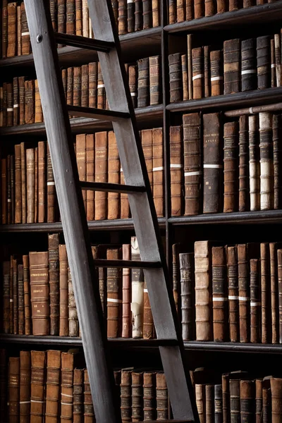 Ladder and old books on shelves in Long Room in Library of Trinity College in Dublin, Ireland