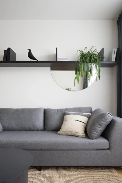 Bequemes Graues Sofa Unter Schwarzem Regal Mit Stilvollen Dekorationen Pflanzen — Stockfoto