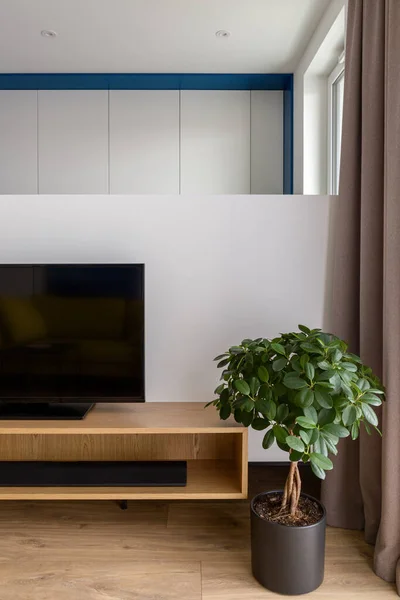 电视房间内有木制地板和木制架子的漂亮的菲克斯莫卡梅编织成的家居植物 — 图库照片