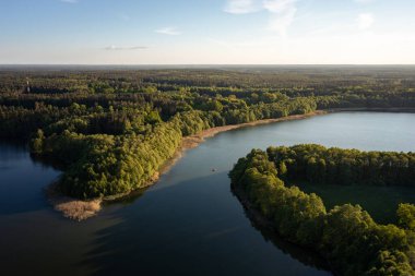 Yeşil ve vahşi ormandaki gölde yaz günbatımının insansız hava aracı görüntüsü