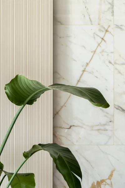 Decorative Banana Plant Leaves White Marble Wall Stylish Heater — Stock Photo, Image