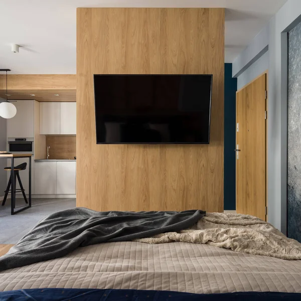 Duży Telewizor Drewnianej Ścianie Nowoczesnym Stylowym Apartamencie Typu Studio Sypialnią — Zdjęcie stockowe