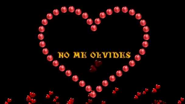 No Me Olvides-Glöm mig inte — Stockvideo