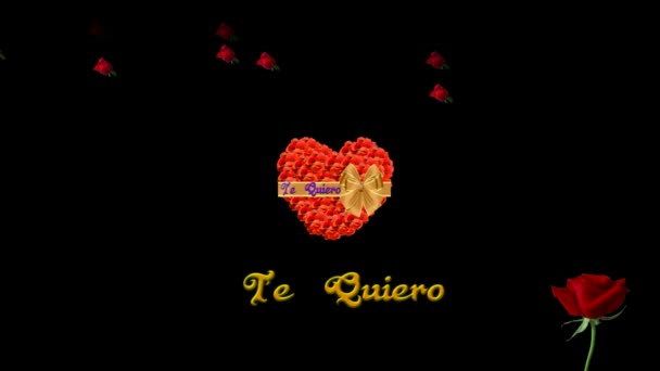 Te Quiero - seni seviyorum — Stok video