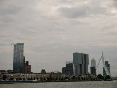 Rotterdam rıhtım şehri Erasmus Köprüsü, modern gökdelenler, tarihi binalar ve karamsar, bulutlu gökyüzü altında uçarak çelişen mimari bir kuş..