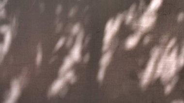 Sıcak, kahverengi beton bir duvarda ağaç yapraklarının yumuşak gölgeleri. Soyut doğal aydınlatma dokusu arkaplanı. Estetik güneş minimalist ve organik tasarım kavramları için benekli yüzey. Schlagwrter (49))