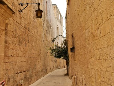 Mdina Malta 'da balkonu ve yeşil bitkileri olan dar bir taş sokak.