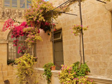 Geleneksel Malta taş binasının iç avlusu ve balkon alanının dikey ve göz hizasında bir görüntüsü. Sahnede çok sayıda kemerli ve yeşil kapılı eski, altın renkli kireçtaşı duvarlar yer alıyor. Canlı pembe ve sarı begonvilli bitkiler.