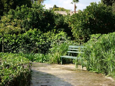 Yeşil, yemyeşil bir Akdeniz bahçesine uzanan ıslak taş kaldırım yolu. Turuncu / mandalina ağaçları, yeşil bir bank ve güneşli bir parkta uzun otlar..