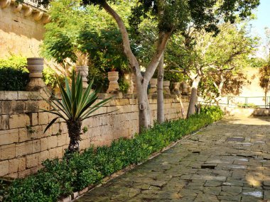 Taştan duvarı, yemyeşil bitkileri ve Malta 'da çivilenmiş çivilerle dolu Akdeniz bahçe yolu..