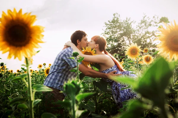 Milující pár v poli slunečnic — Stock fotografie