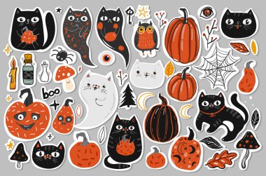 Kara kedili, hayalet kedili, balkabaklı büyük bir cadılar bayramı seti