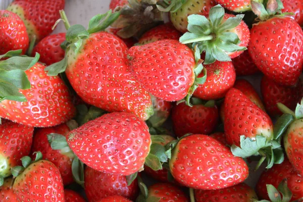 Fresas Fruta Detalle Alimentos — Foto de Stock