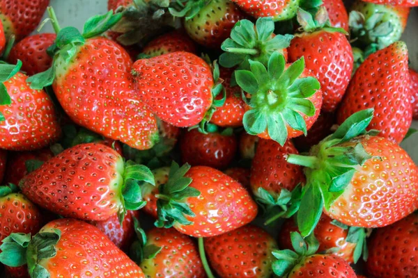 Fresas Fruta Detalle Alimentos — Foto de Stock