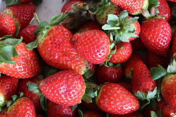 Fresas Detalle Fruta Primer Plano — Foto de Stock