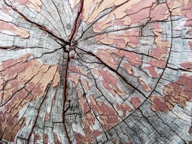 Eski ahşap yüzey itibariyle yerel ahşap köprü