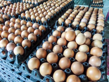 Paketi üzerinde yumurta