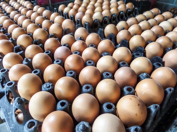 Uova sulla confezione — Foto Stock