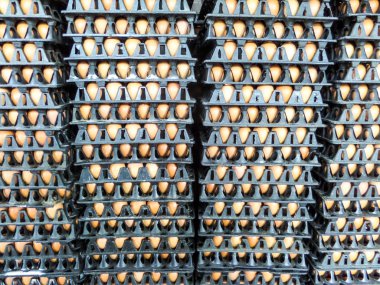 Paketi üzerinde yumurta