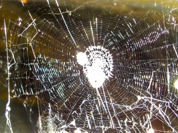 Spinnennetz bewegt sich in der Luft und Bokeh Hintergrund — Stockfoto