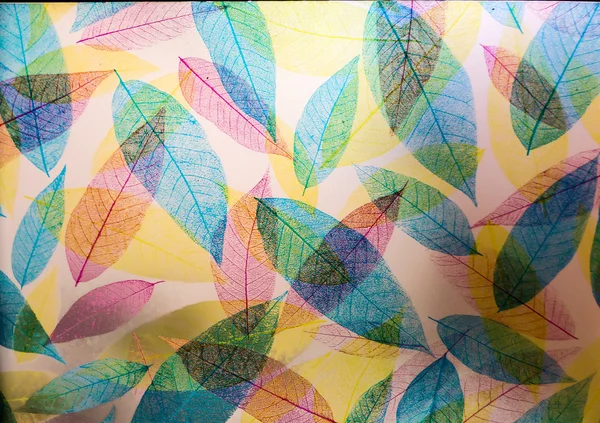 Yaprakların şeffaf